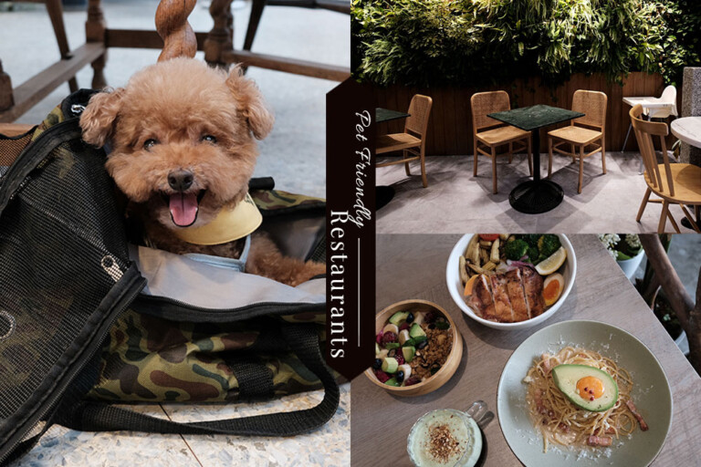 內湖寵物友善餐廳懶人包